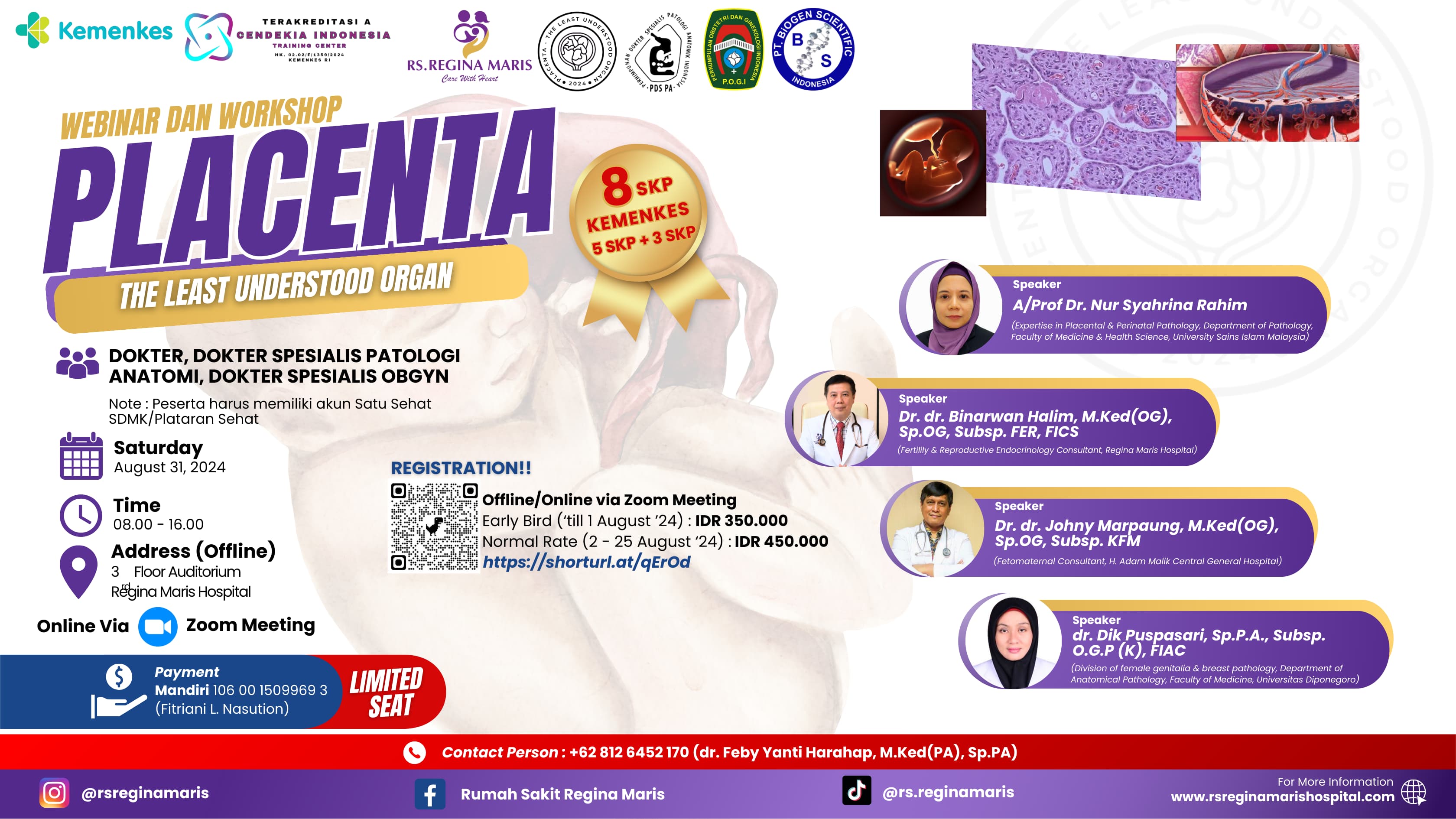 Placenta The Least Understood Organ