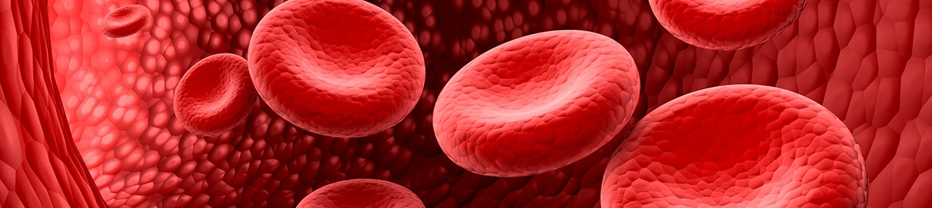 Thalassemia